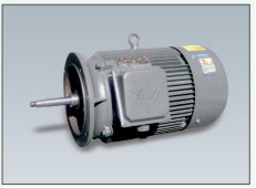 水泵專用電動(dòng)機(jī)